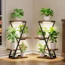 TriLume Z-Frame