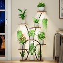 Lunara Canopy Stand