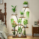 Lunara Canopy Stand