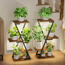TriLume Z-Frame