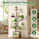 The Arboris Tree Stand