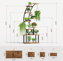 The Arcadia Elevate Stand