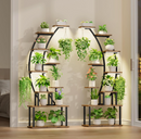 The Arcadia Elevate Stand