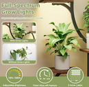 The Aurelia Spiral Stand