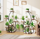 The Aurelia Spiral Stand