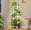 The Seraphina Curve Stand