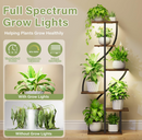 The Seraphina Curve Stand