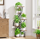 The Seraphina Curve Stand
