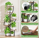 The Seraphina Curve Stand