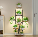The Arbor Glow Stand