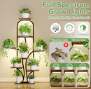 The Arbor Glow Stand