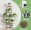 The Arbor Glow Stand