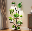 The Bloomrise Pedestal