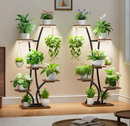 The Bloomrise Pedestal