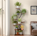 Liora S-Curve Stand