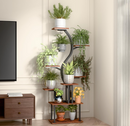 Liora S-Curve Stand