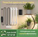 Liora S-Curve Stand
